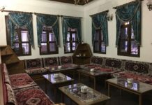 Kentin Canlı Hareketliliği