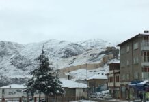 Festival Halk Pazarı’nın Konumu ve Yapısı